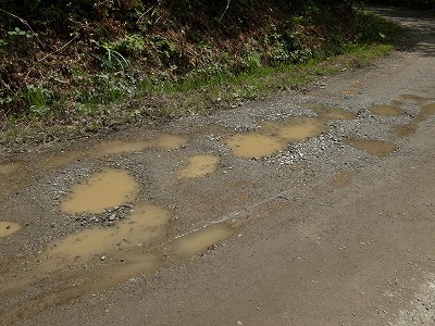 水たまりのできた路面